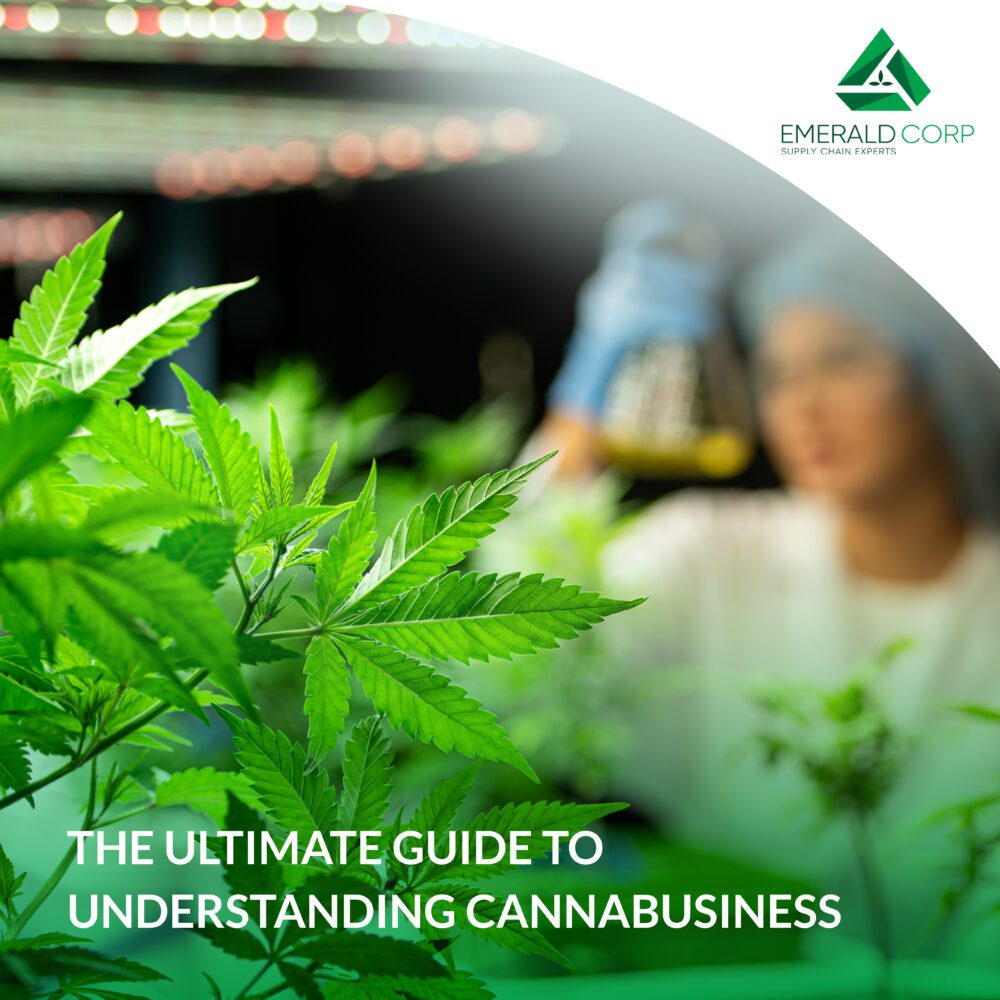 The Ultimate Guide to Understanding Cannabusiness