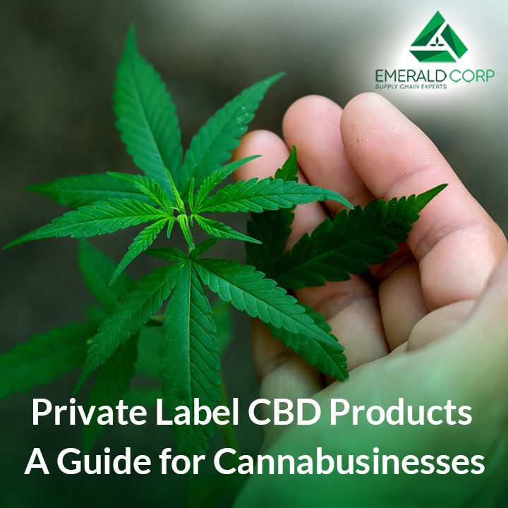 Private Label CBD Products: A Guide for Cannabusinesses