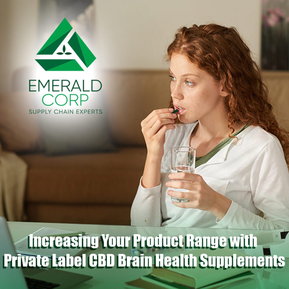 Increasing Your Product Range with Private Label CBD Brain Health Supplements